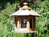 Bird Feeder